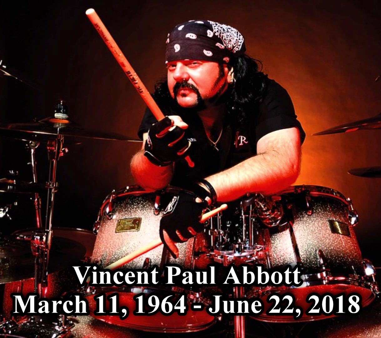 Vinnie Stefano